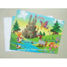 Colorful Printing PP / PVC Placemat & Coaster